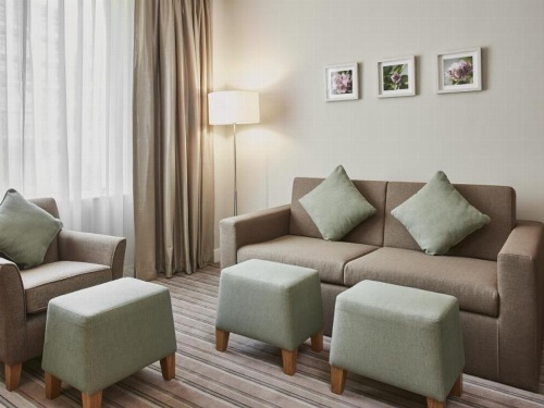 Hilton Garden Inn Dubai Mall of The Emirates image 10