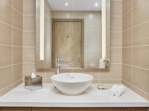 Hilton Garden Inn Dubai Mall of The Emirates image 4